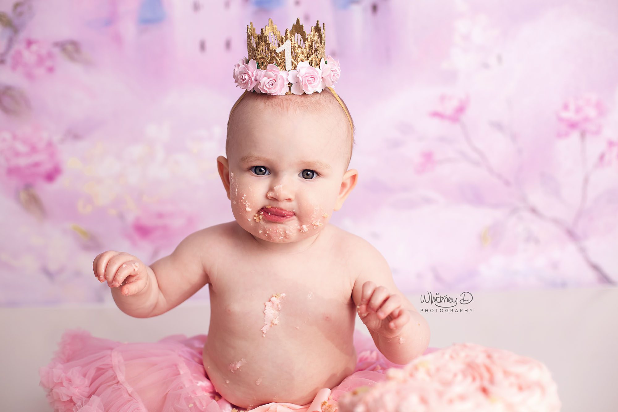 First Birthday Baby Girl pink princess cake smash at Whitney D. Photography in Conway, Arkansas