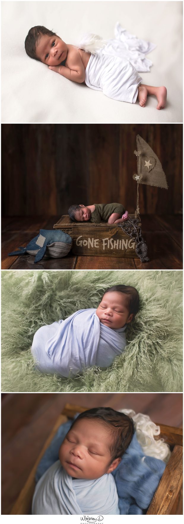 Newborn collage at Whitney D. Photography in Conway, Arkansas