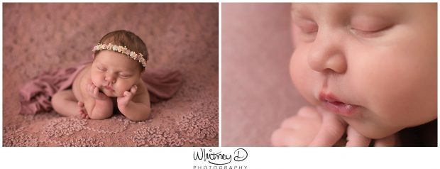 Newborn posed at Whitney D. Photography in Conway, Arkansas