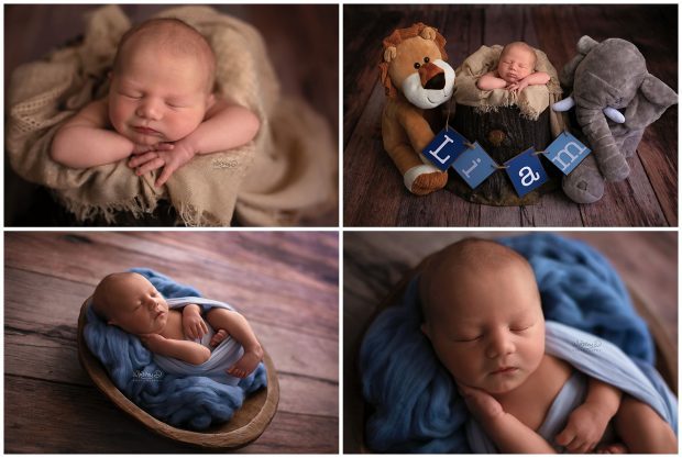 Newborn baby in blue with safari animals at Whitney D. Photography in Conway, Arkansas