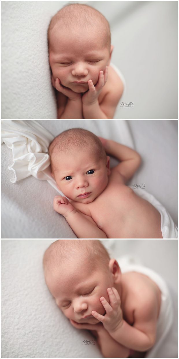 Newborn baby boy on white at Whitney D. Photography in Conway, Arkansas