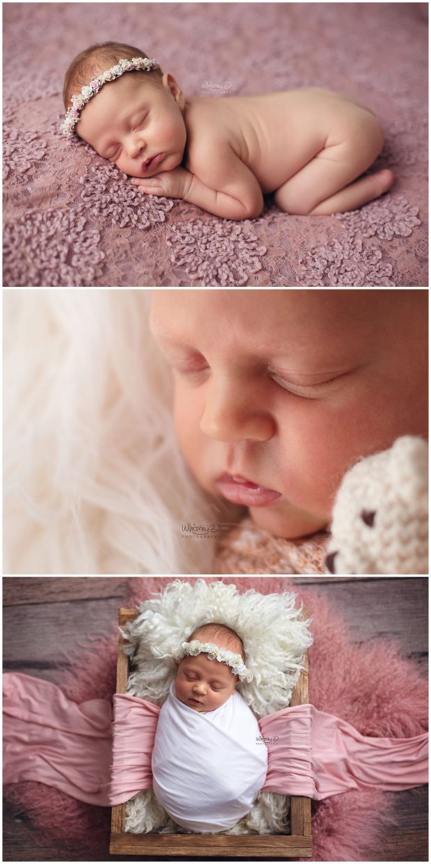 Newborn on pink at Whitney D. Photography in Conway, Arkansas