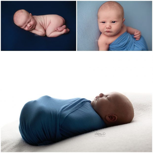 Newborn baby boy posed at Whitney D. Photography in Conway, Arkansas