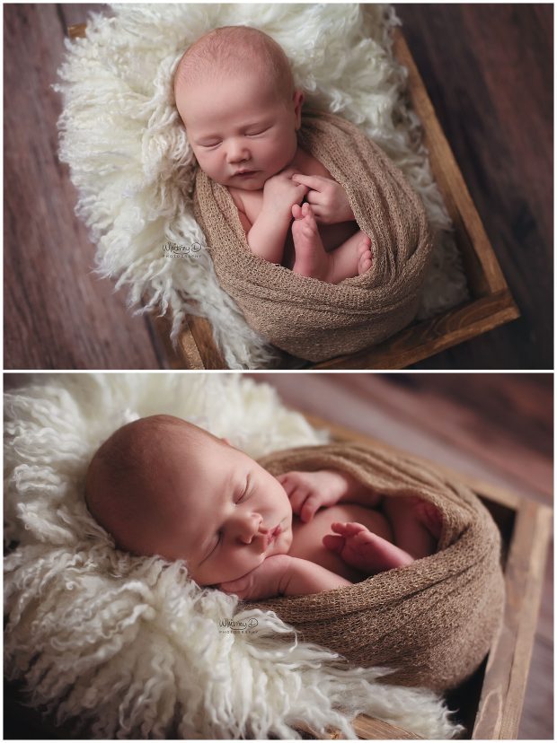 Newborn baby boy posed in a crate prop at Whitney D. Photography in Conway, Arkansas