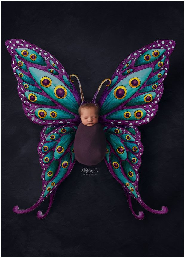 Newborn baby girl as a butterfly at Whitney D. Photography in Conway, Arkansas