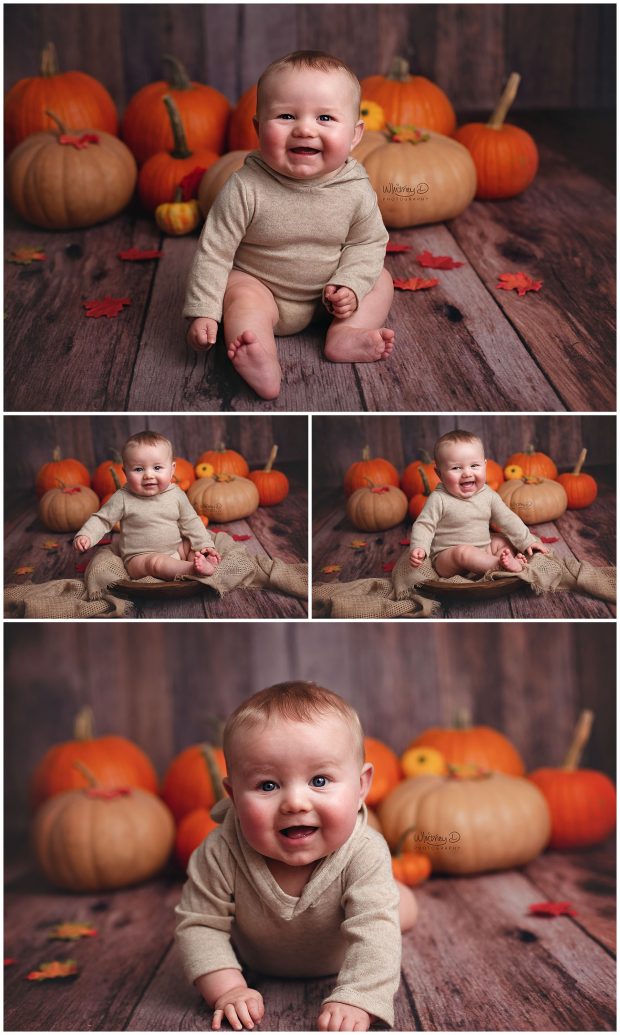 Six month Sitter baby boy with pumpkins at Whitney D. Photography in Conway, Arkansas
