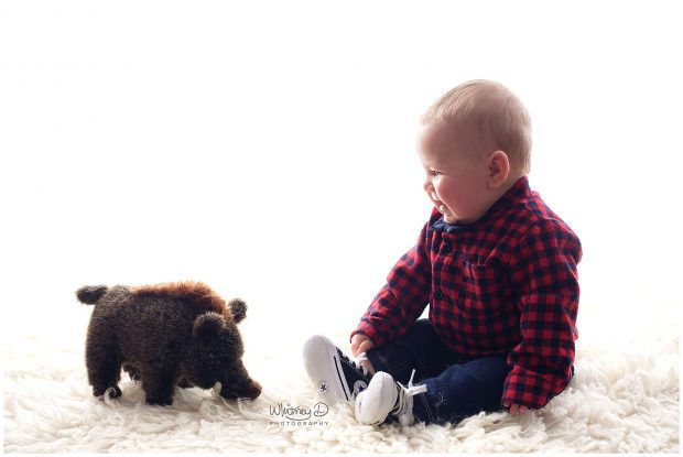 Six month Sitter baby boy with razorback toy at Whitney D. Photography in Conway, Arkansas