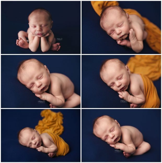 Newborn baby boy on navy and mustard fall colors at Whitney D. Photography in Conway, Arkansas
