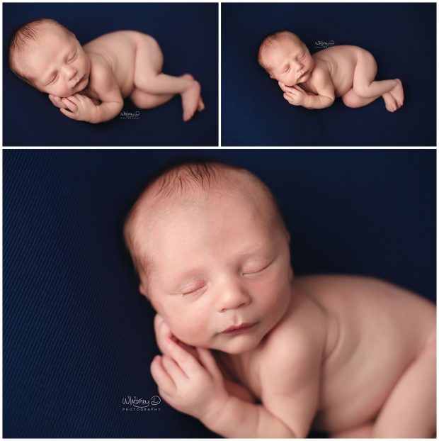 Newborn baby boy on navy at Whitney D. Photography in Conway, Arkansas