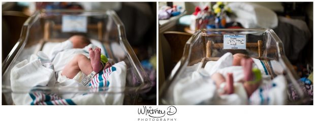 Newborn baby boy in bassinet at Fresh 48 session in Conway Regional hospital with Whitney D. Photography