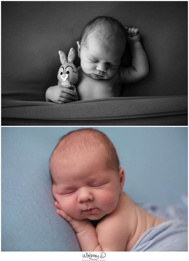 Newborn baby boy with bunny sleeping at Whitney D. Photography in Conway, Arkansas
