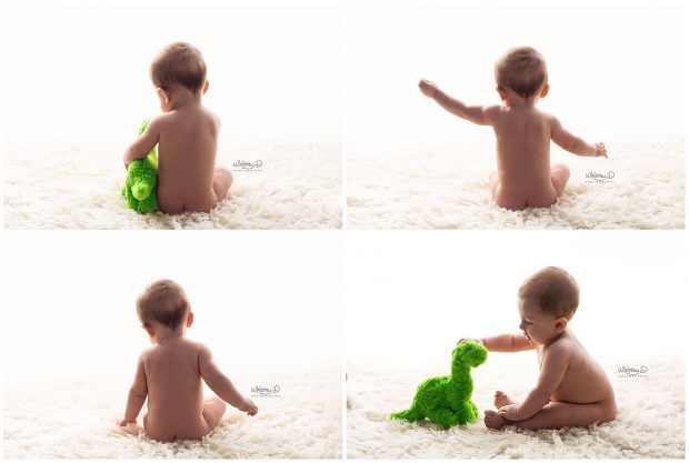 Six month baby boy with stuffed dinosaur at Whitney D. Photography in Conway, Arkansas