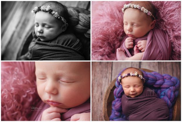 Newborn baby girl on pink and purple posed for newborn session at Whitney D. Photography in Conway, Arkansas
