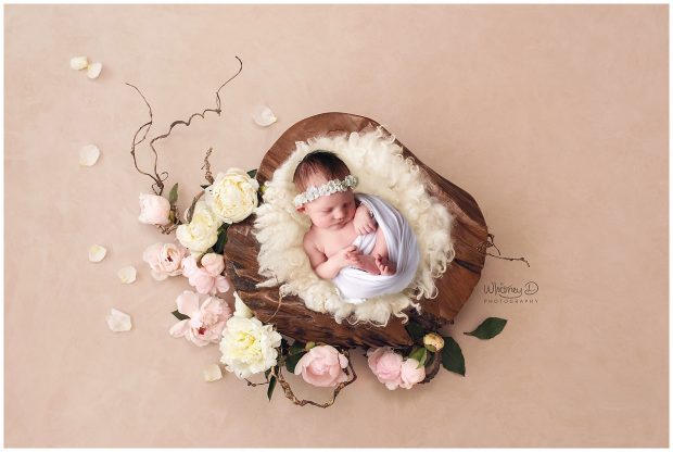 Newborn baby girl in a wooden bowl surrounded my floral peonies at Whitney D. Photography in Conway, Arkansas
