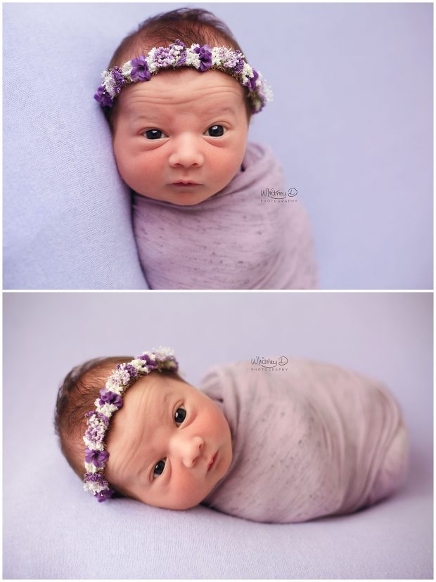 Newborn baby girl in purple wrap with eyes open at Whitney D. Photography in Conway, Arkansas
