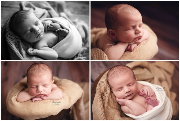 Newborn baby boy in neutral colors at Whitney D. Photography in Conway, Arkansas