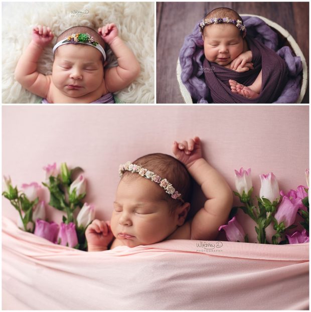 Newborn baby girl with pink flowers at Whitney D. Photography in Conway, Arkansas