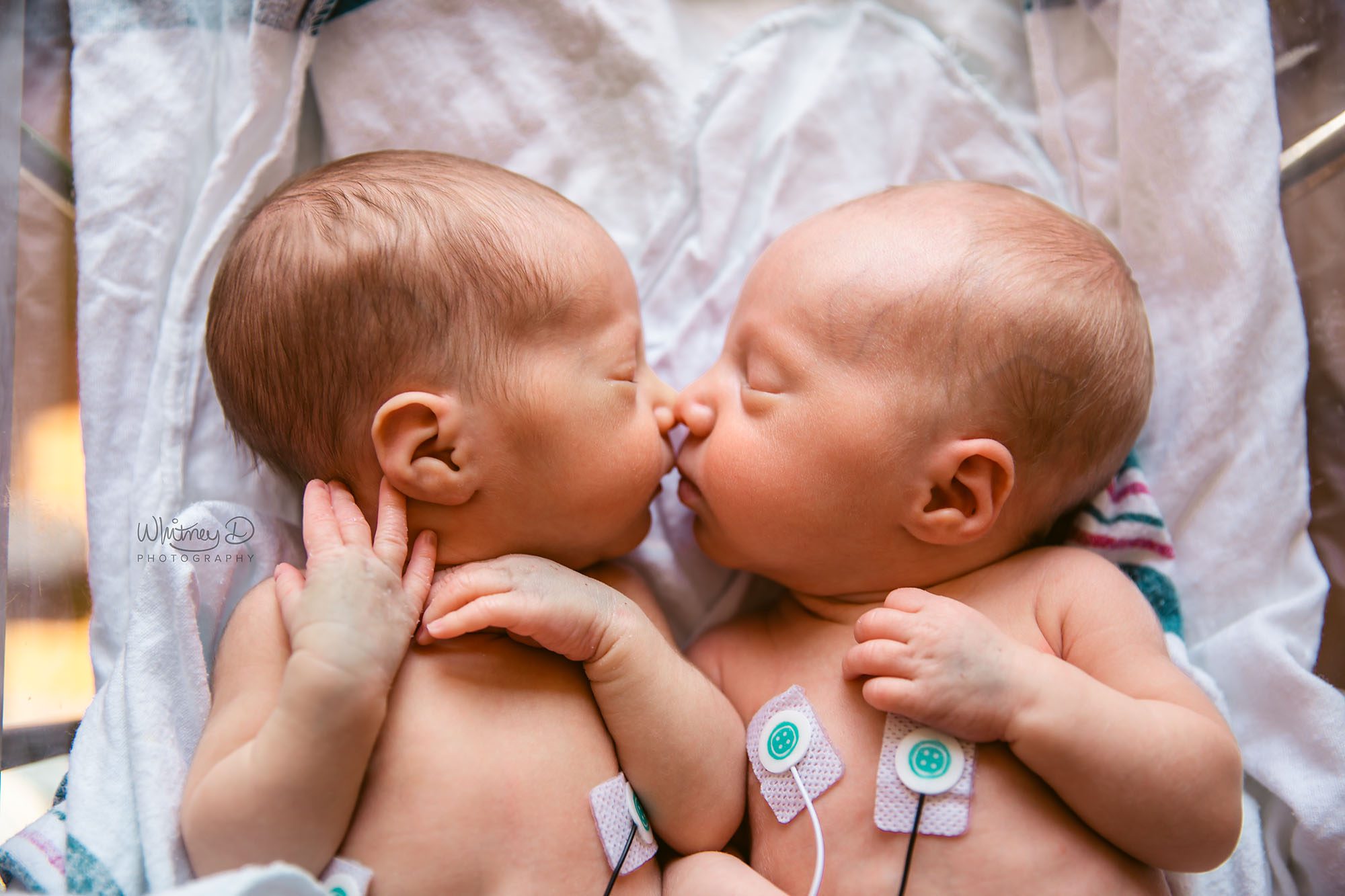 Twin preemies in the NICU for Fresh 48 at Baptist hospital